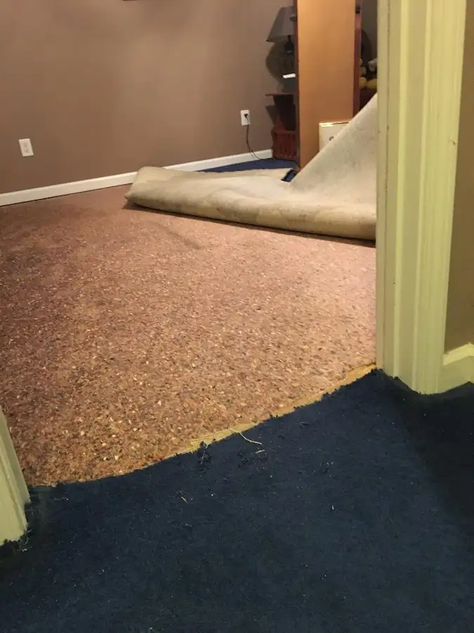 Carpet pad removal revealing water damage during Drying & Dehumidification in Jefferson City